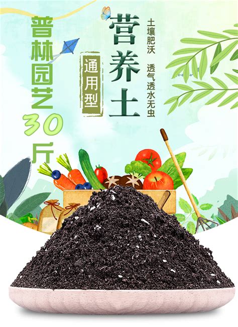 直销优质泥炭土,草炭土,有机营养土,园林绿化种植腐殖土 20公斤/袋