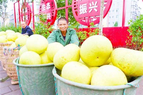全球营销 潼南小柠檬联通国际大市场__凤凰网