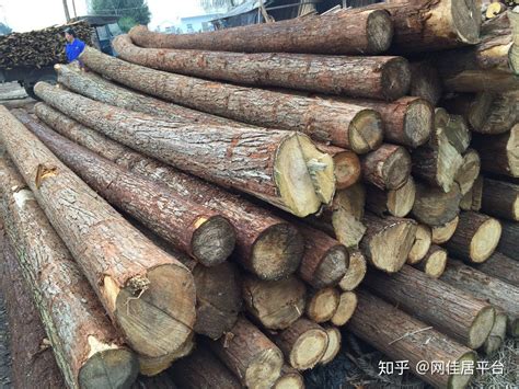 木材的种类有哪些 5中常见木材介绍 - 知乎