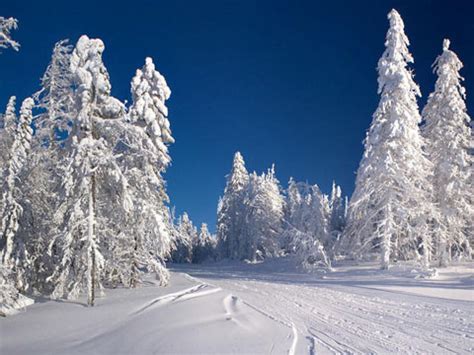 冬季雪地里行走的人高清图片下载-正版图片308039086-摄图网