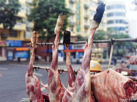早市随拍，羊肉生意最火，25元一斤半天卖出30只羊