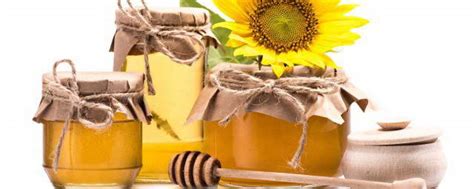 蜂蜜是怎么制作出来的？取蜂蜜过程看得我精神了一天_腾讯视频