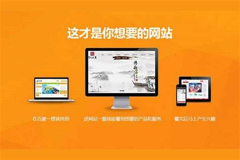 通讯行业网站建设案例 - 武汉中网维优网络科技公司