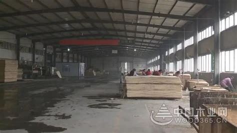 烘干板材-菏泽市牡丹区润鲁木业有限公司