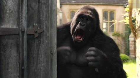 电影大猩猩开门没吓到人，自己却被吓晕了，真是全网最怂大猩猩