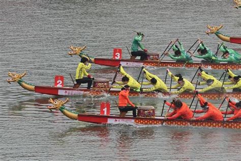 广东传统民俗文化——扒龙船|龙舟|龙船|石滩_新浪新闻