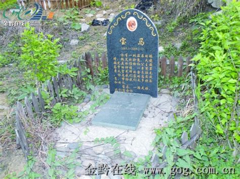 金属存放架 宠物殡葬产业和孤独的北京人-江西顾特乐精藏科技有限公司