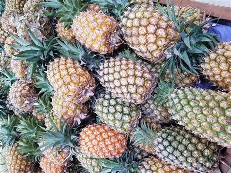 澳媒：我们有大量新鲜菠萝 为何要冒险进口台湾的？_手机新浪网