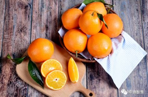 买橙子，聪明人遇到有“这4个”特征，转身就走，水果贩子都不吃