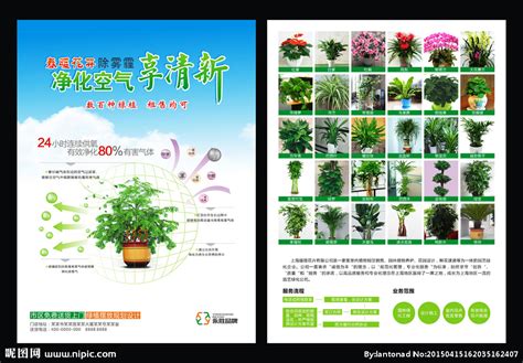 花卉广告 花卉公司广告设计图__DM宣传单_广告设计_设计图库_昵图网nipic.com