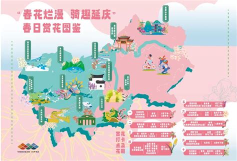 延庆“花海放歌”首届消夏欢乐节在四海镇南湾花海开幕