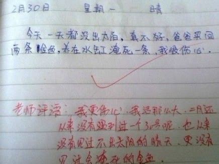 小学生搞笑作文，这孩子的写作能力绝了，网友：笑死人不偿命！