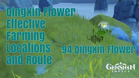 Qingxin Flower Genshin Impact Farm Guide: Farm Route, Location, & How ...