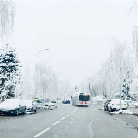 河北迎今冬来最强降雪 雪后变身“白色城市”-图片频道