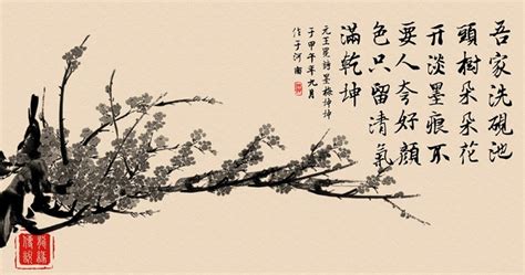 《墨梅》王冕原文注释翻译赏析 | 古诗学习网