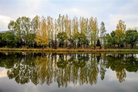 伊春市乌翠区 让沙坑池塘变成一道道小微景观