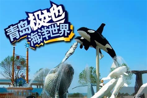 2023青岛海昌极地海洋公园玩乐攻略,青岛海昌极地海洋世界点评【去哪儿攻略】