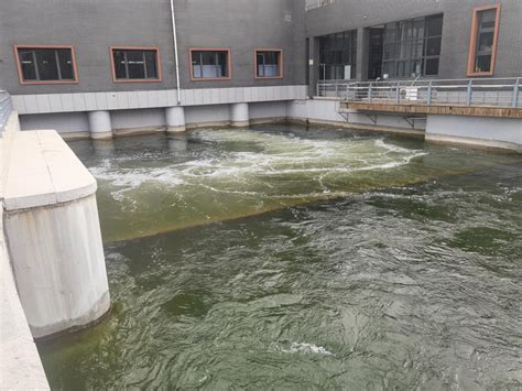 青岛水库水质治理-中科波斯特环境科技（北京）有限公司