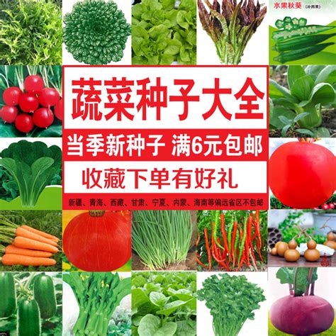 100种蔬菜图片大全名称图_誉云网络