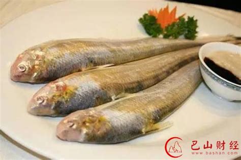 长江刀鱼的做法,长江刀鱼的生活习性,长江刀鱼的营养价值,长江刀鱼的形态特征_齐家网