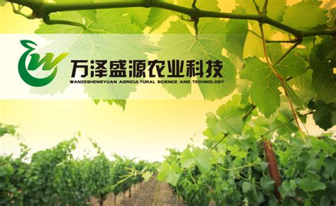 北京万泽盛源农业科技发展有限公司_空灵LOGO设计公司