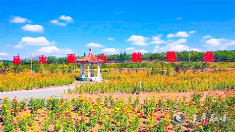 丽水市景宁县文旅融合案例入选《2021世界旅游联盟——旅游助力乡村振兴案例》