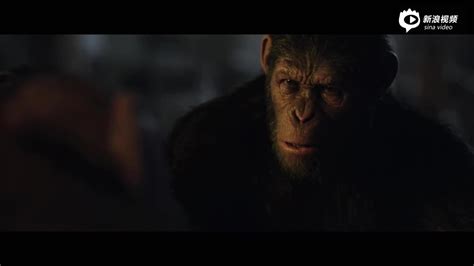 《猩球崛起3：终极之战》发布新预告片 人类步步紧逼，凯撒大帝真“怒”了！-资讯-光线易视