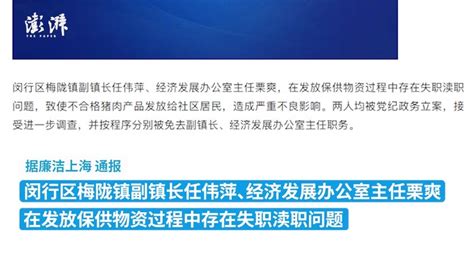 宝山区政府常务会议召开 聚焦环上大科技园专项政策修订