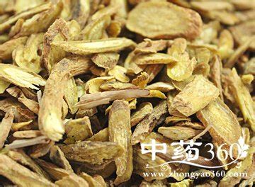 黄芩的功效和作用-种植技术-中国花木网