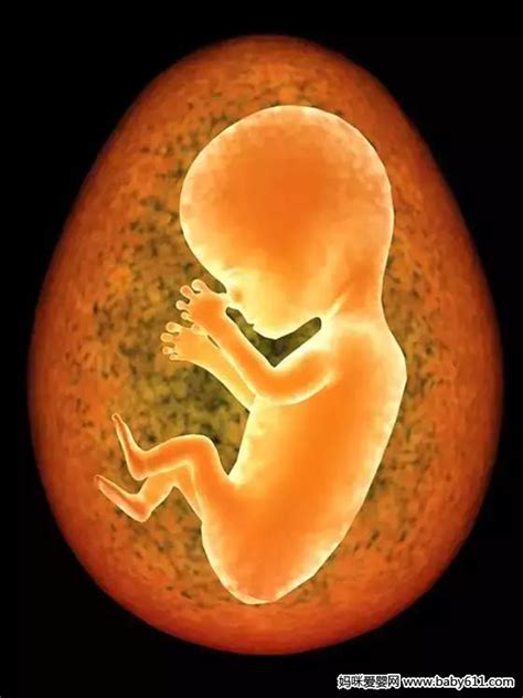 孕妈注意！胎宝宝缺氧的3大症状