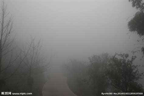 今年的第一场大雾，你感受到了吗|大雾|污染物|雾滴_新浪新闻