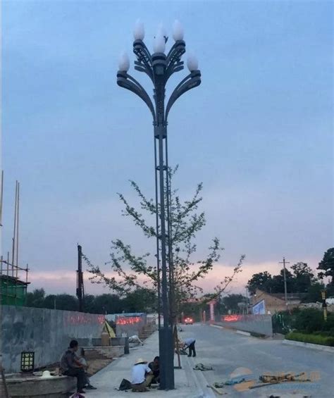 绵阳梓潼县LED路灯厂家12米6米8米玉兰灯批发价多少钱-一步电子网