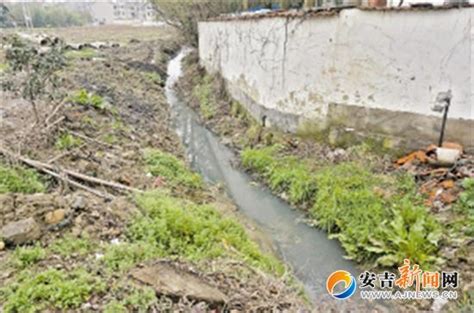 [图文]灌溉渠变成臭水沟 苦了村民愁煞村委-安吉新闻网