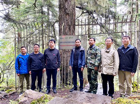 西藏林芝高山森林生态系统国家野外科学观测研究站