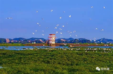 钦州白石湖公园 - 广西站专题 -中国天气网