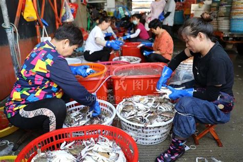 浙江舟山：千吨鱼货投入节日市场-人民图片网