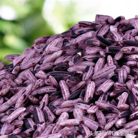 现货批发红米农家自产红糙米五谷杂粮红稻米红大米红梗米-阿里巴巴