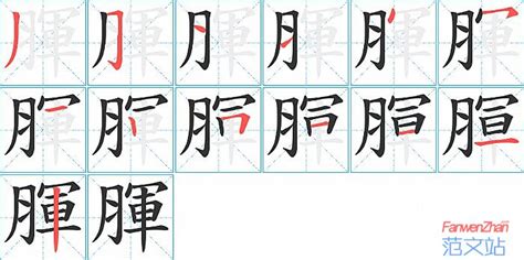 腪的笔顺_汉字腪的笔顺笔画 - 笔顺查询 - 范文站