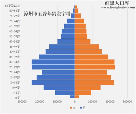 2021年[福建]漳州市人口第七次人口普查和人口普查数据-红黑人口库2021年