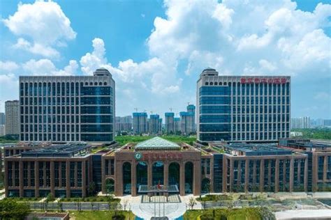 武汉市中心医院“牵手”黄陂区人民医院，成立首个数字化区域医疗联合体_凤凰网