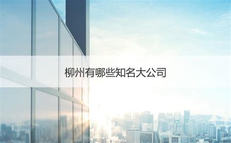 柳州五星百货股份有限公司_中国商业企业管理协会