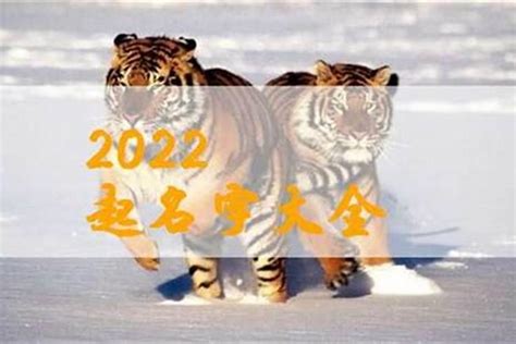 虎年男孩起名字，2022属虎的犯太岁吗_起名_若朴堂文化