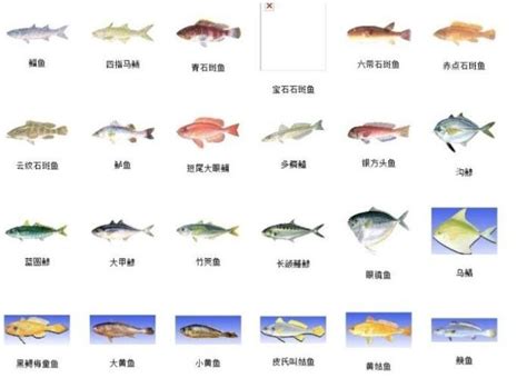 生鲜鱼高清图片下载-正版图片501084261-摄图网