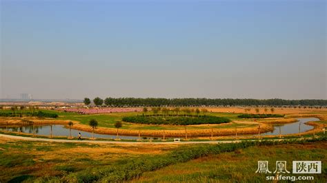 渭柳湿地公园：人与自然和谐共生的美丽画卷|湿地公园|土堤|渭城_新浪新闻