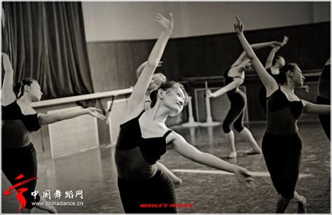 中国舞技巧名称及图解,舞蹈技巧名称带图,舞蹈基本名称及动作_大山谷图库
