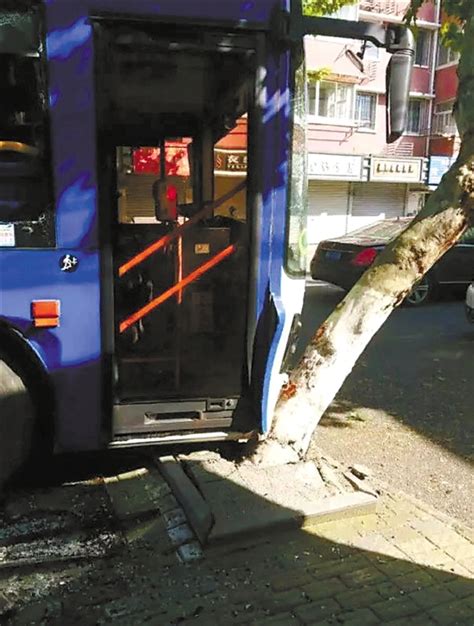 司机被乘客抱住 宁波一公交车撞树 车内5人受伤-新闻中心-温州网