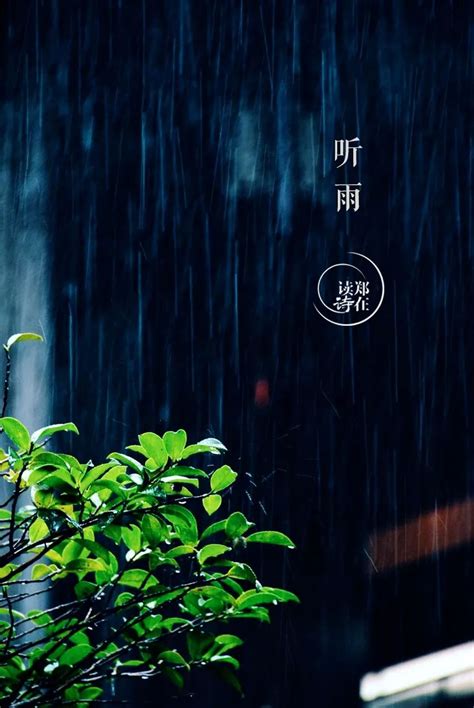 【雨声助眠】下雨天舒适雨声治愈大自然的声音_腾讯视频