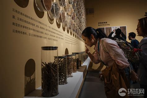 种子也可以色彩斑斓：探访中国第一个种子博物馆