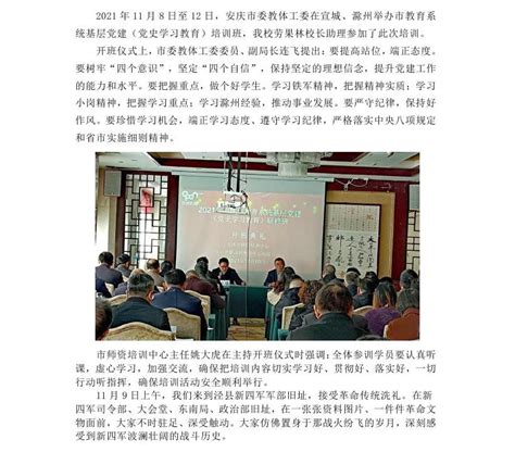 我校参加安庆市教育系统基层党建(党史学习教育)培训 - 党建之窗 - 安庆外国语