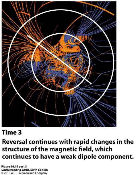 为什么地球会有磁场，磁场对地球的生态系统的重要性